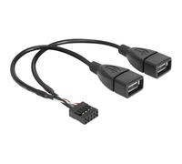 Câble interne USB vers externe - DeLOCK - 20 cm - Hi-Speed USB - Embase 9 broches (F) - USB type A (F)