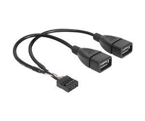 Câble interne USB vers externe - DeLOCK - 20 cm - Hi-Speed USB - Embase 9 broches (F) - USB type A (F)
