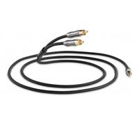 QED Performance RCA-Mini-Jack J2P Graphite - Câble Jack 3,5 mm / RCA de 1,5 m