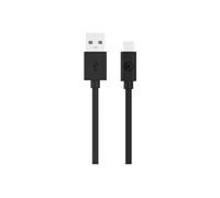 - Câble Lightning - USB mâle pour Lightning mâle - 2 m - noir