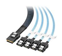 Cable Matters Câble Interne Mini SAS vers SATA, SFF-8087 vers SATA, 1m