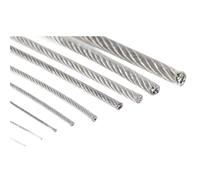 Câble Métallique Corde à linge suspendue en fil d'acier PVC transparent de 5,0/10,0/20,0/50,0 mètres, 1,0/2,0/3,0/4,0/5,0/6, mm(10M,3.0mm)