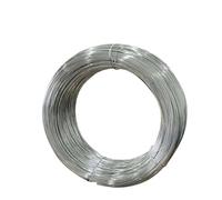 Cable Metallique Fil d'acier doux/dur en acier inoxydable, fil de fer doux d'arrimage à un seul brin(0.6mm (10M),Hard Steel Wire)