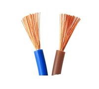 Câble métallique gainé de 10m/50m, 20 18 17 15 13 AWG RVV 2 3 4 5 6 7 8, Cordon d'alimentation électrique for Maison(2 core50m,1.5mm 15 AWG)