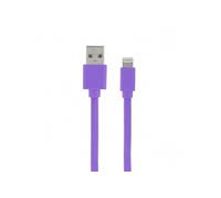 Câble MFI / USB-A plat pour iPhone iPad 1 m - lavande