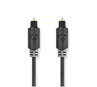 Câble audio optique CABW25000AT50 5.00 m