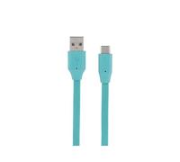 Câble plat USB Type C 1 m menthe