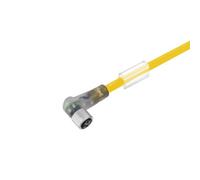 Câble pour capteurs/actionneurs Weidmüller SAIL-M8BW-4L10QGE 1093231000 Contenu: 1 pc(s)