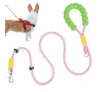Câble pour Chien | 2 Mètres Corde Antidérapante Accessoires pour Animaux,Attache Renforcée pour Grands Chiens avec Poignée en Mousse - Idéal pour Randonnée Camping Course