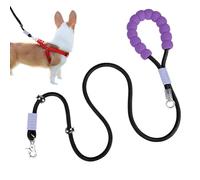 Câble pour Chien - Laisse de Traction en Corde Antidérapante 2 m,Attache Renforcée pour Grands Chiens avec Poignée en Mousse | Idéal pour Randonnée Camping Course