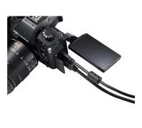 Câble + prise secteur Panasonic pour Appareil photo hybride GH7 Noir Noir G