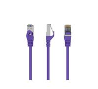 - Cordon de raccordement - RJ-45 (M) pour RJ-45 (M) - 25 cm - FTP - CAT 6 - moulé - violet
