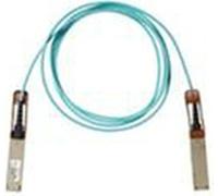 Câble réseau rigide UTP de catégorie 6 CISCO QSFP-100G-AOC15M=