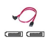 Câble SATA 7-pin - ASSMANN ELECTRONIC - 0.5 m - Rouge - Connecteur à angle gauche, plat