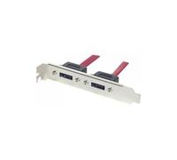 Cable slot 2 ports eSATA avec cordon interne de 30cm