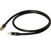 Câble subwoofer REAL CABLE subwoofer 2mètres