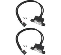 Câble Supplémentaire 9 Broches Vers Double Port Usb 20 (0,3 M) Compatible Avec La Carte Mère Asrock Deskmini[ZHUJ1112]