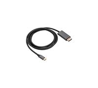 Câble USB 1,8 m type C-DisplayPort AK-AV-16
