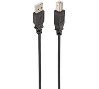 Câble USB 2.0 Ewent EC1003 Noir