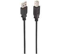 Câble USB 2.0 Ewent EC1003 Noir