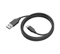 - Câble USB - 24 pin USB-C (M) pour USB type A (M) - USB 3.0 - 2 m - pour PanaCast 50, 50 Room System