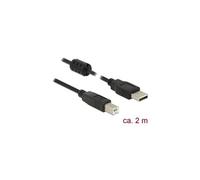 DeLock Câble USB 2.0 USB-A mâle vers USB-B mâle 2,00 m noir noyau en ferrite 84897