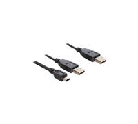 DeLOCK 83178 Câble USB 2.0 0.3m Double USB A Mâle/Mâle Noir - Débit 480 Mbit/s - Longueur 0.3 mètre