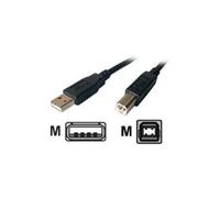 - Câble USB - USB (M) pour USB type B (M) - USB 2.0 - 1.8 m - noir