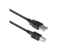 - Câble USB - USB (M) pour USB type B (M) - USB 2.0 - 3 m - noir