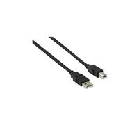 - Câble USB - USB (M) pour USB type B (M) - USB 2.0 - 5 m - noir