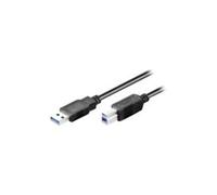 goobay Câble SuperSpeed USB 3.0, Noir, 3m Longueur - 93654