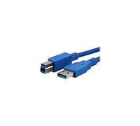 - Câble USB - USB Type B (M) pour USB type A (M) - 3 m - bleu