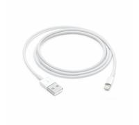 Apple - Câble Lightning - Lightning mâle pour USB mâle - 1 m