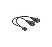 DeLock Câble USB 2.0 83292 – En-tête 8 pôles, 2x USB-A femelle 20 cm noir certifié UL
