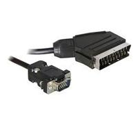 Câble vidéo DeLOCK - VGA - HD-15 (M) - SCART (M) - 2 m