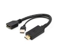 Câble vidéo et adaptateur GEMBIRD - HDMI Type A (Standard) vers DisplayPort + USB Type-A - 0,1 m - Noir