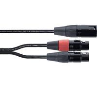 Cordial Câble adaptateur Y EY 0,3 m XLR 1x mâle 2x femelle 3 pôles noir