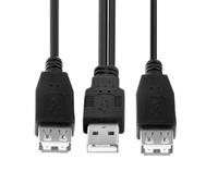 cablecc Double connecteur USB 2.0 de type A femelle vers USB type A mâle câble de données d'alimentation supplémentaire compatible avec lecteur de disque SSD imprimante scanner (20 cm)