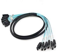 CableDeconn Lot de 6 câbles SATA 6 Gbps haute vitesse SAS pour serveur (1 m)