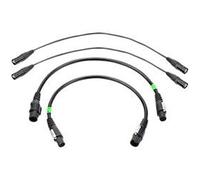 Câbles Power CON TRUE1 / Ether CON LS118