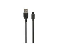 Cablexpert - Câble USB - 24 pin USB-C (M) pour USB (M) - USB 2.0 - 1 m - noir