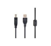 Cablexpert - Câble USB - USB type B (M) pour USB (M) - 3 m - moulé - noir