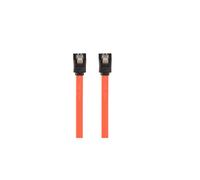 Cablexpert CC-SATAM-DATA-0.3M - Câble Serial ATA III 30cm Mâle/Mâle, Taux 0.6 Gbit/s, RoHS - Connecteurs droits, Conditionnement Bulk