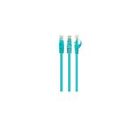 Cablexpert - Cordon de raccordement - RJ-45 (M) pour RJ-45 (M) - 1 m - UTP - CAT 6 - bloqué, moulé - vert
