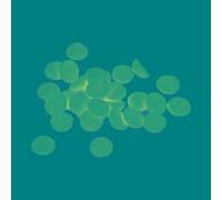 Cabochon Bois Lucy Rond 5x12mm 35 Pièces