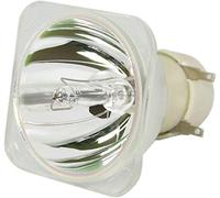 CABULB-EU 5J.J5405.001 Lampe de projecteur sans boîtier compatible avec BenQ W700 W1060 W703D / W700+ EP5920 (UHP 190/160W 0,9 E20.9)