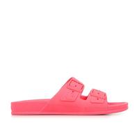 Cacatoès Bahia - 40