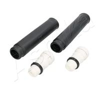 Cache-amortisseur Essieu arrière 159-00-0315 ASHIKA pour FORD FOCUS III