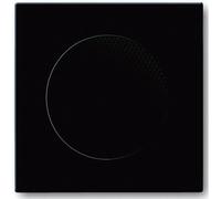 Cache Busch-Jaeger 8253-81 anthracite