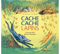 Cache Cache Lapins: Un conte japonais